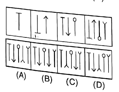 Figure for question 31